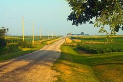 July-in-central-Illinois.