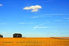 cloud-soybeans-september